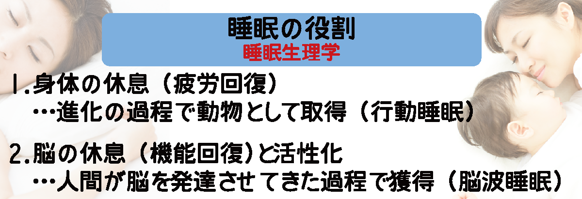 roleofsleep