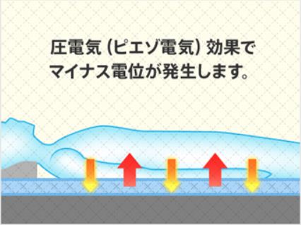 D-Support Gear（ディーサポートギア）