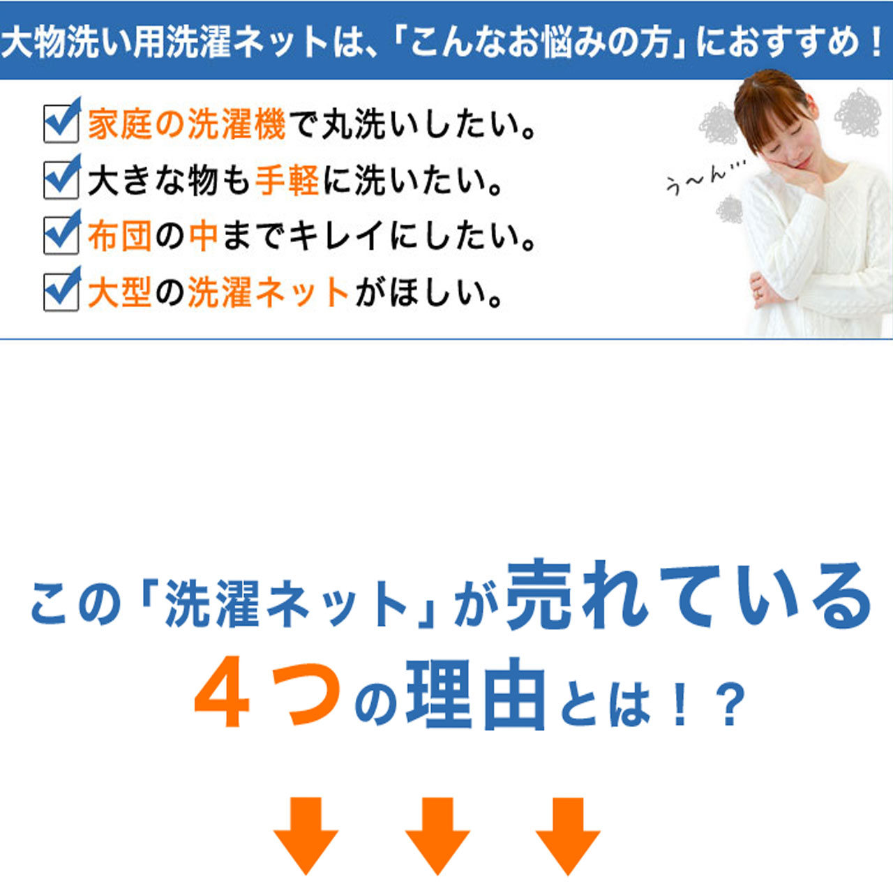 大物洗い用 洗濯ネット Lサイズ