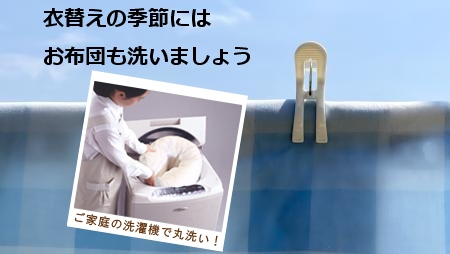 洗濯ネット発信